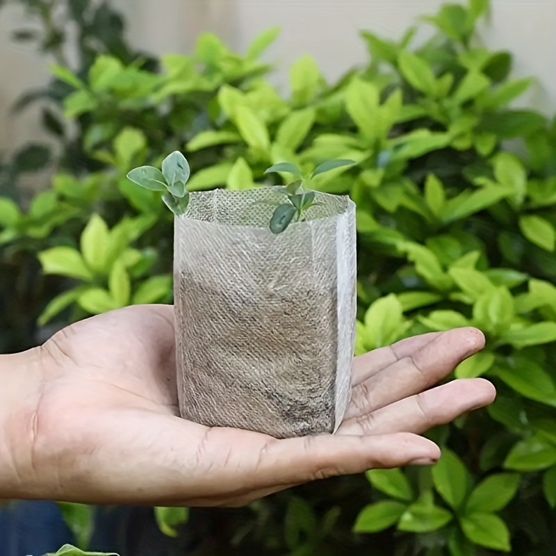 Bag Non-woven Plant Bags Plant Seeding Bags Fabric Seedling Plants Pouch  Solid Plants Grow Bags Home Garden Supply - Temu