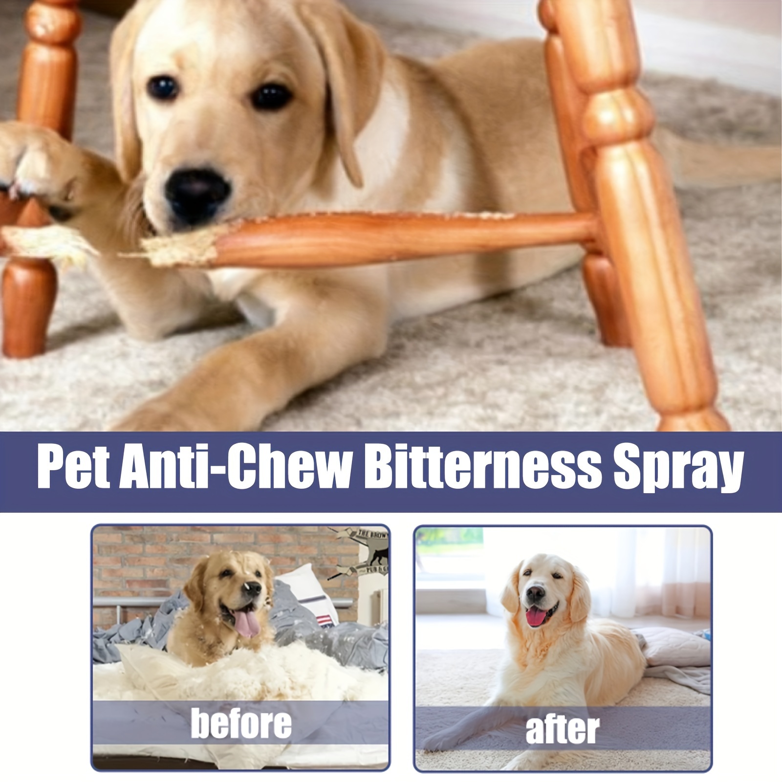 Bitter spray for outlet dogs to stop licking