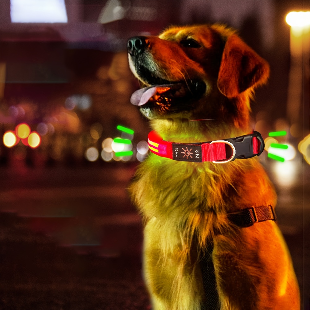 Correa de perro con luz LED y collares de perro iluminados, recargable,  impermeable, que brilla en la oscuridad, con luces luminosas reflectantes  para