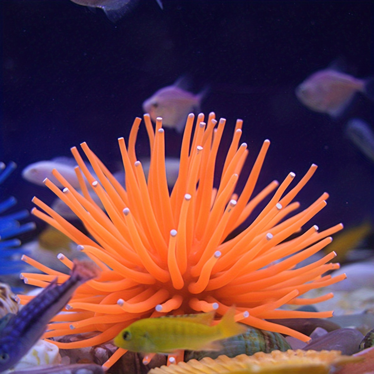 Artificial Sea Urchin Fish Tank Landscaping Artificial Sea - Temu