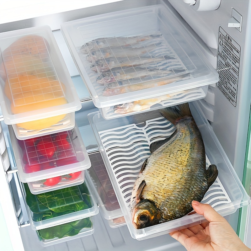 1pc Fridge Freezer Drainage Prolonged Freshness Container, Anti-Bacterial  Sealable Fish Box For Kitchen Storage Of Rice, Condiment And Nuts; Four- Compartment Кitchen Food Container With Sealed Lid For Refrigerators,  Suitable For Fruits, Vegetables