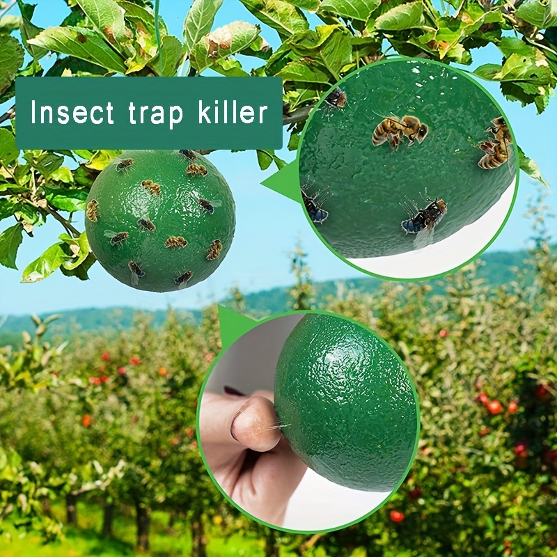 Pumpkin Shape Sticky Fly Trap Ball Green Creative Plant - Temu United Arab  Emirates