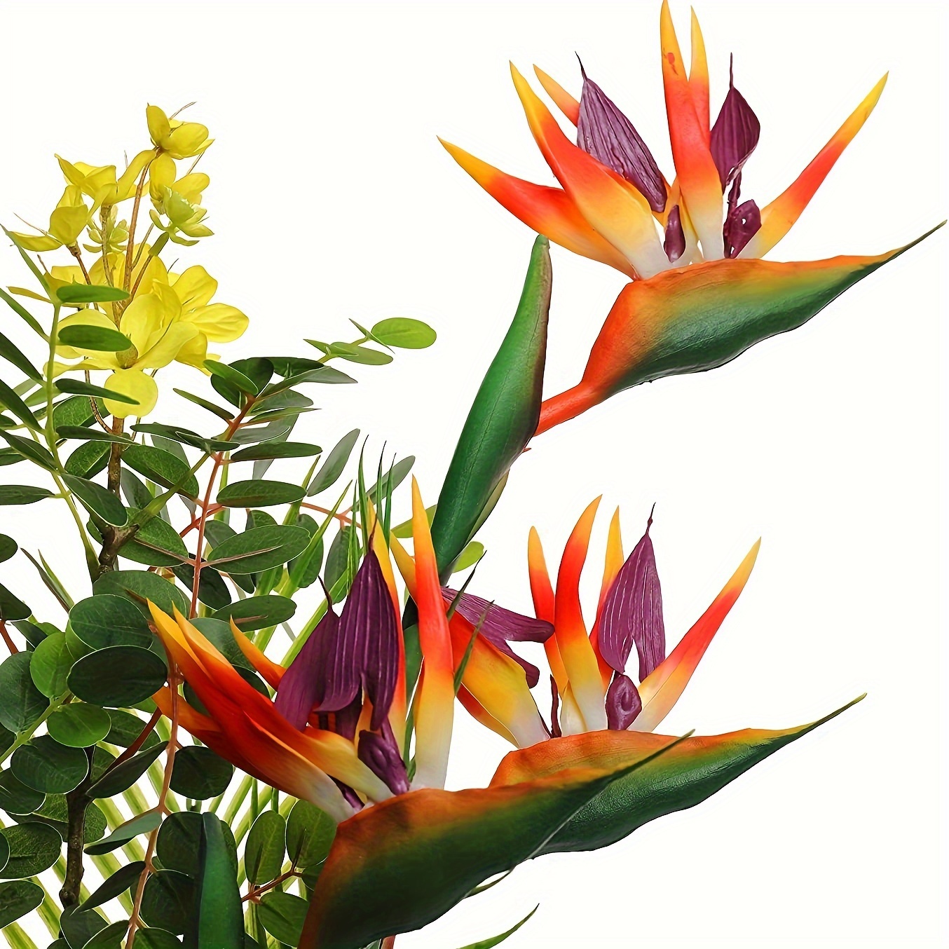 philodendron squamiferum kaufen Philodendron Squamiferum X Serpens – Foliage Dreams main image 1