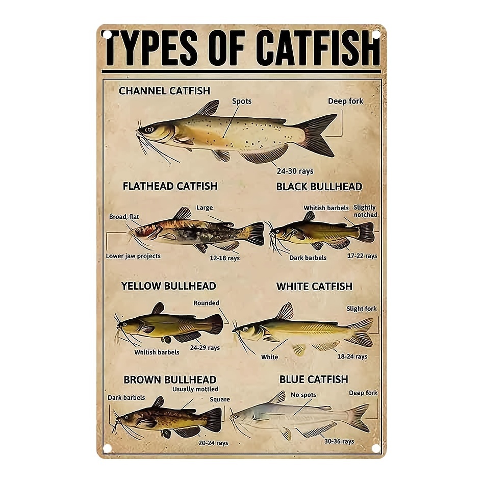 Flfgidd Tin Plate Catfish Fly Fishing Cafe Home Bar Bar - Temu Canada