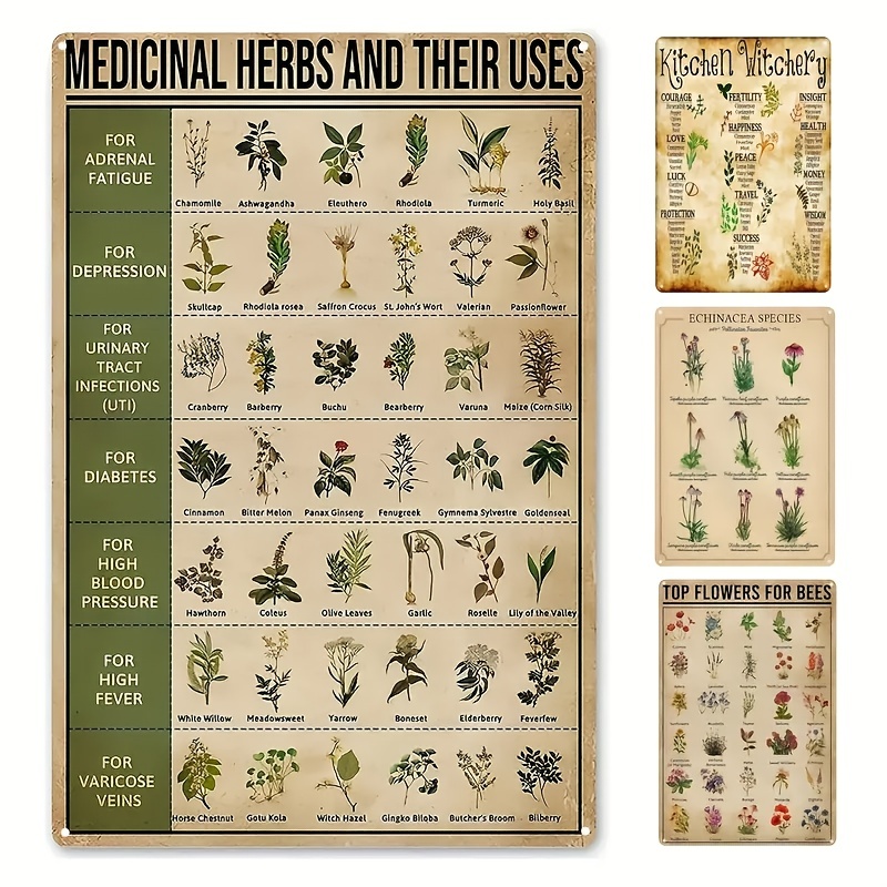 Canvas Poster Magical Herbs And Their Uses Witchy Poster - Temu