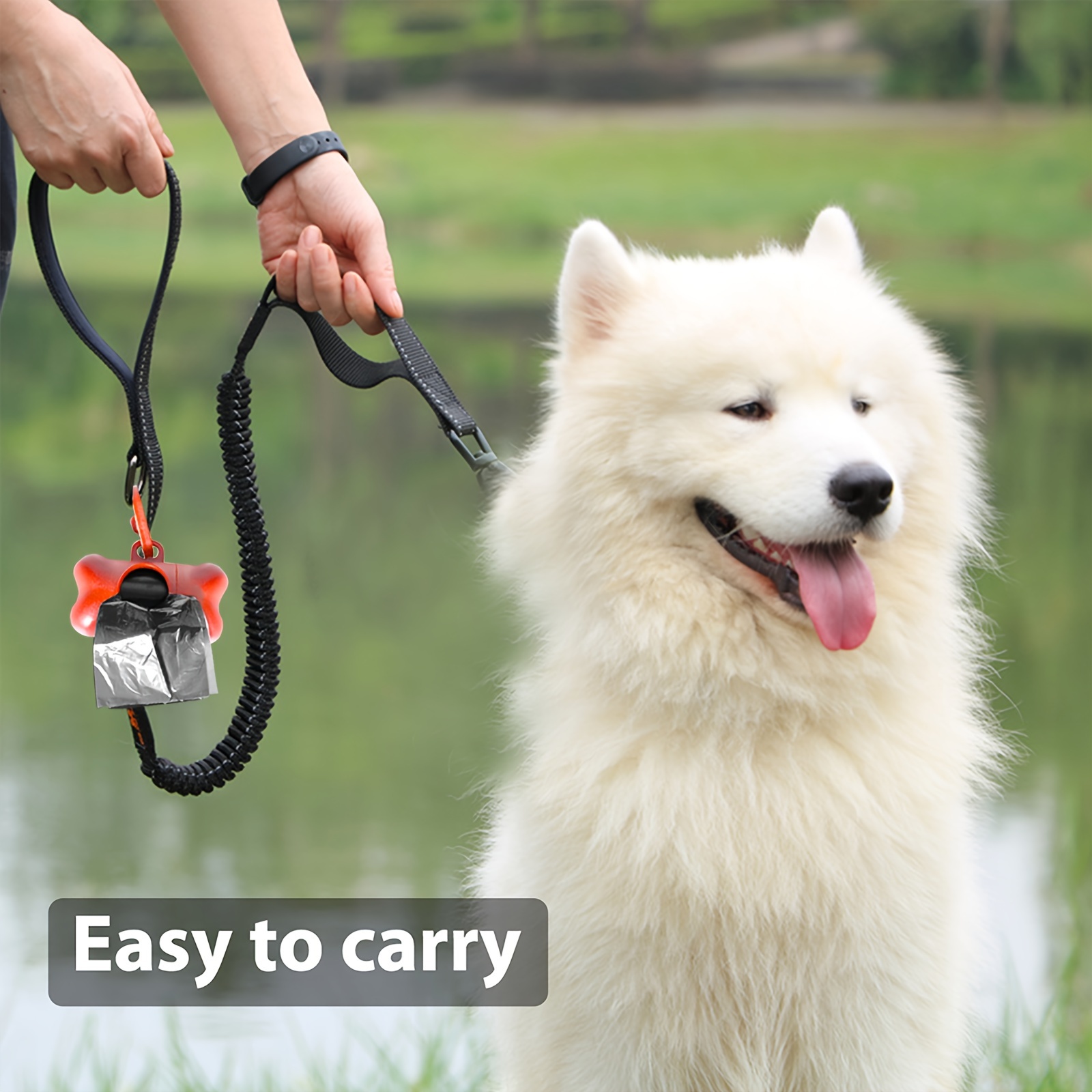 Tradineur - Dispensador de bolsas para excrementos de perro con