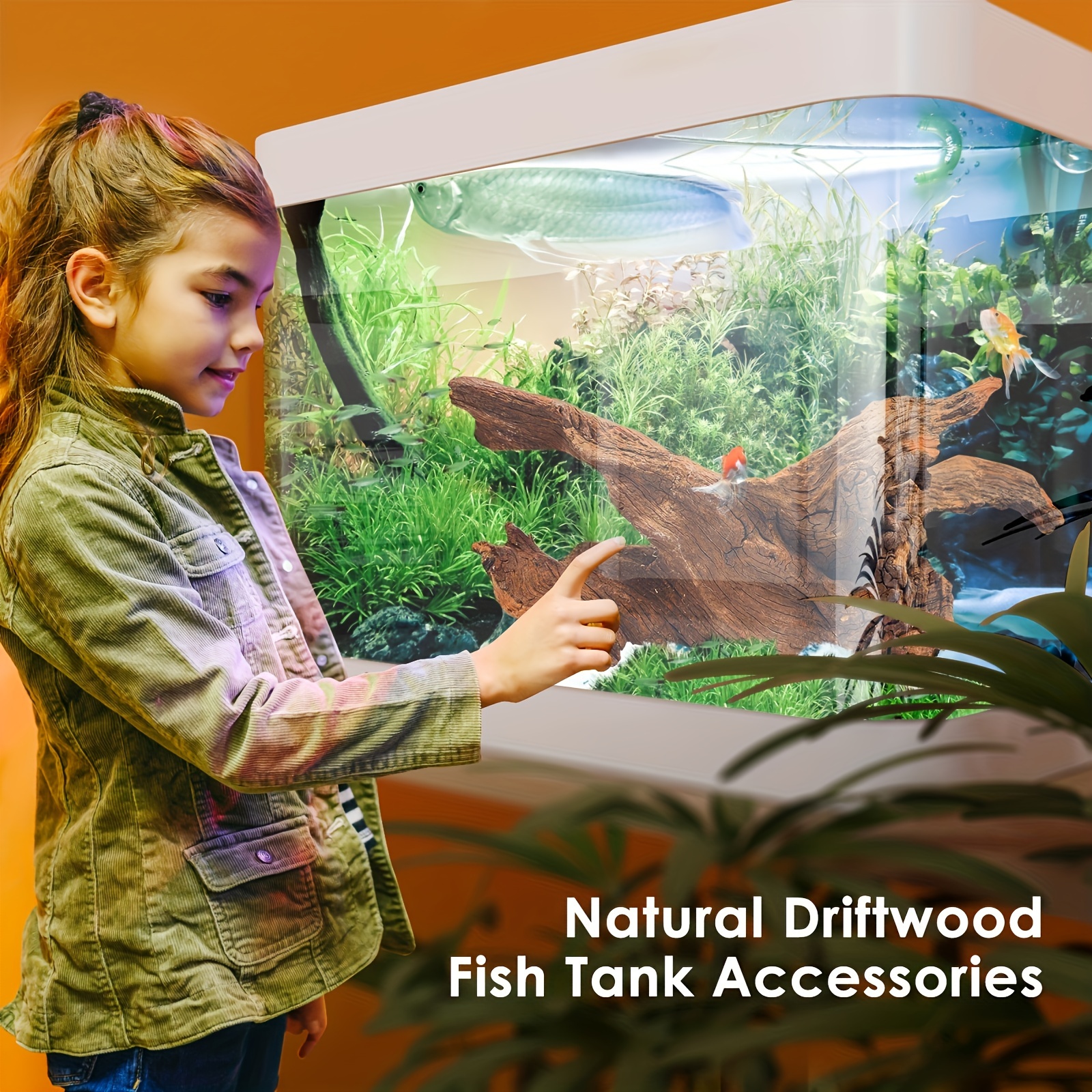 3pcs Natural Driftwood For Aquarium Decor Fish Tank Decorations Assorted  Driftwood Branch - Pet Supplies - Temu