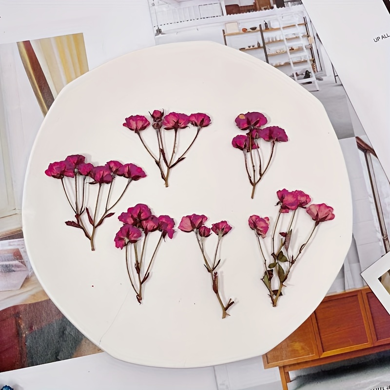 Small Rose Dry Embossing Resin Kit: Create Diy Art Crafts