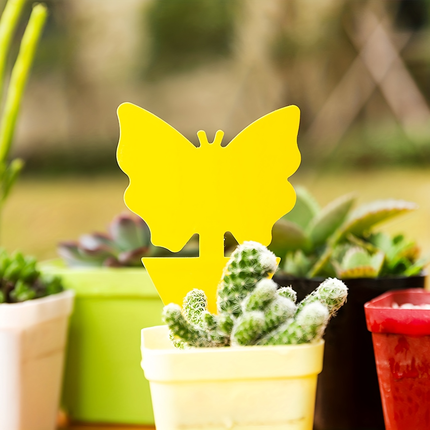 Fruit Fly Traps Fungus Gnat Traps Yellow Sticky Bug Traps Non-toxic And  Odorless For Indoor Outdoor Use Protect The Plant - Temu