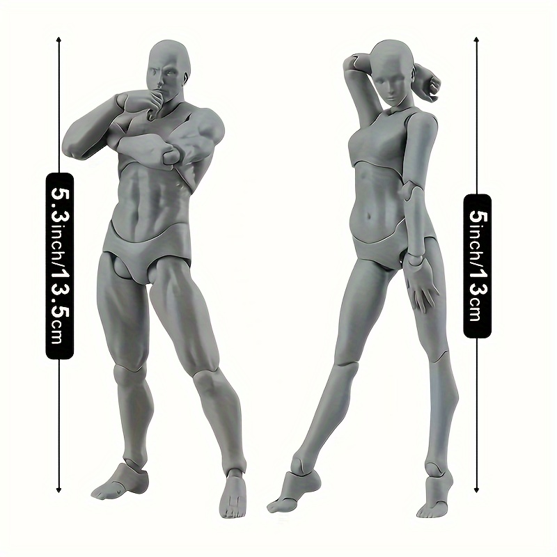 Body Kun DX Set Body Kun And Body Chan Set PVC Action Figures Drawing  Mannequin For