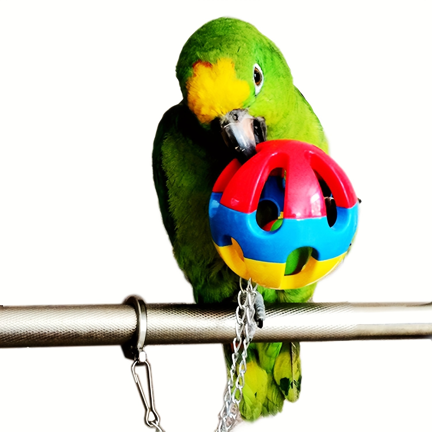 Colorful Chewing Treat Toy Medium Large Parrots Parrot Ball Temu