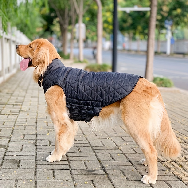 Manteau pour chien Veste d'hiver Rembourré Vêtements Taille Petit Moyen  Grand