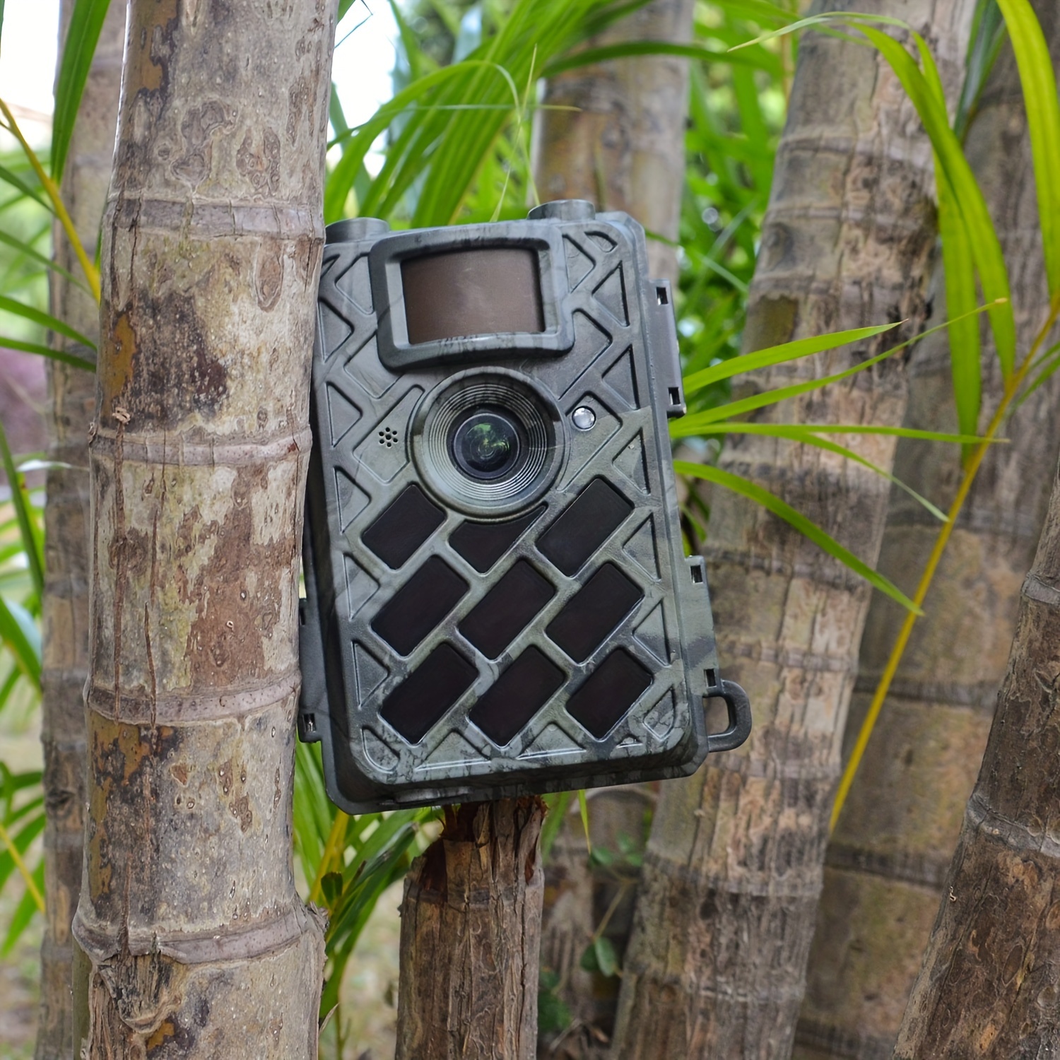 dummy game cameras