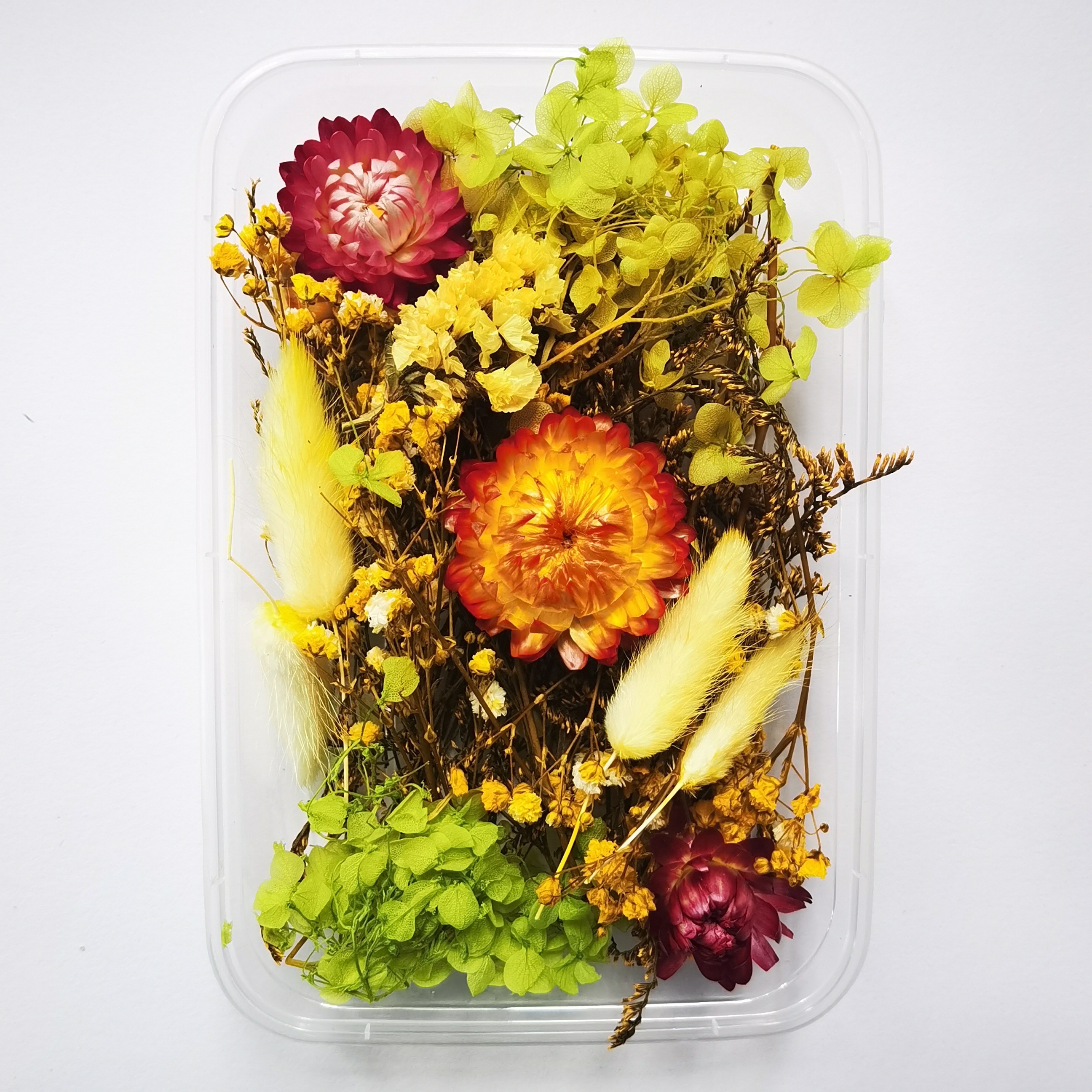 Eternal Flower Full Star Flower Box A Variety Dried Flower - Temu