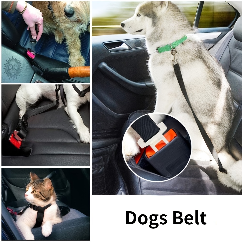 Boucle de sécurité pour voiture pour animaux de compagnie - Temu