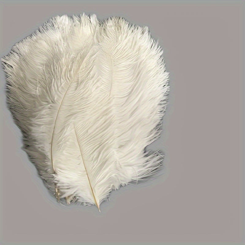 Feathers Diy Crafting Feathers Wedding And Party Decoration - Temu