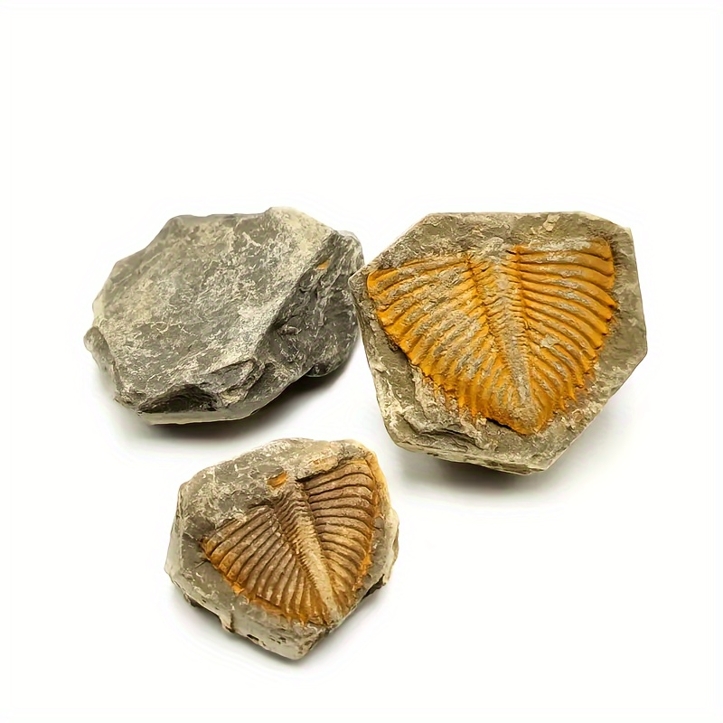 Muestras de minerales naturales Minerales Piedras Espécimen