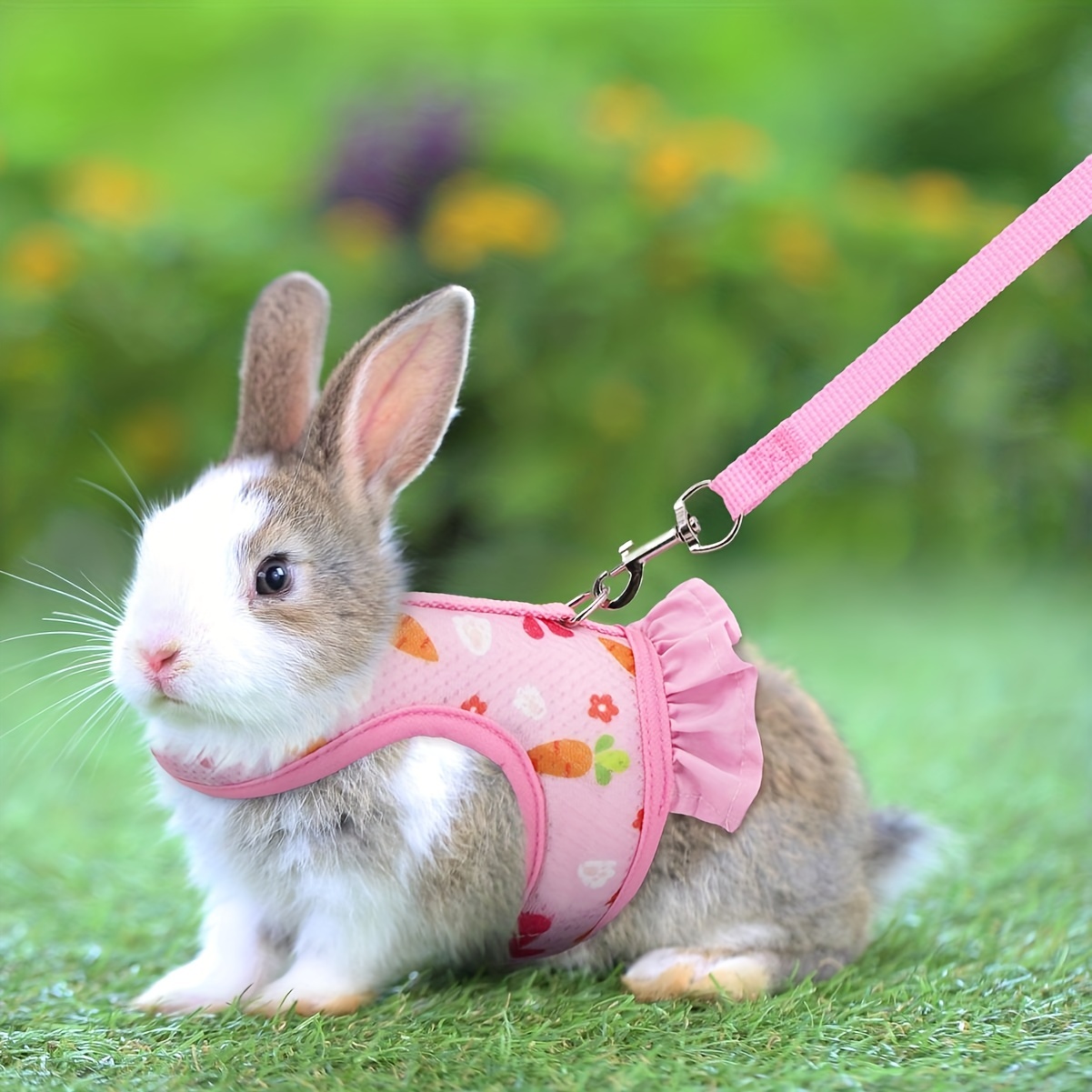 Rabbit Harness And Leash Set, Escape Proof Bunny Vest Harness