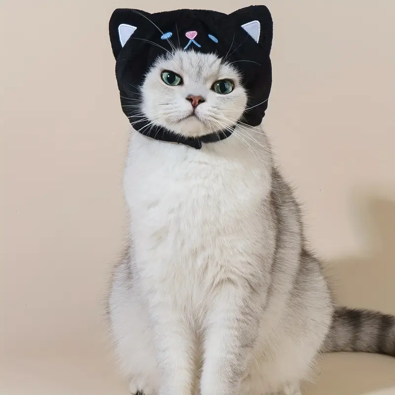 Cute Black Cat Design Pet Hat Funny Cat Headgear Pet Decoration Headwear  For Photo Props - Temu Bulgaria