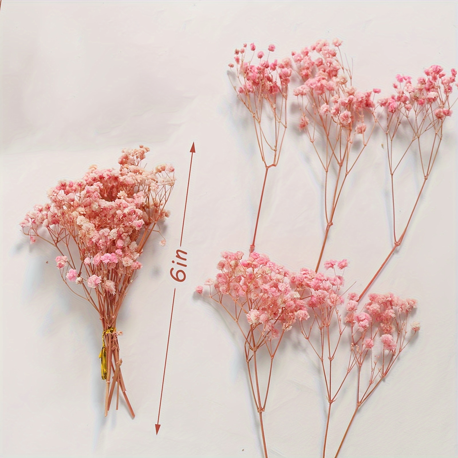 

1pc, 5.9 Inch Pink Preserved Baby's Breath 5 Small Bunches,100%natrual Fresh Gypsophila Long Lasting Flowers For Vase Arrangements Home Decoration Photo Props Parties And Weddings