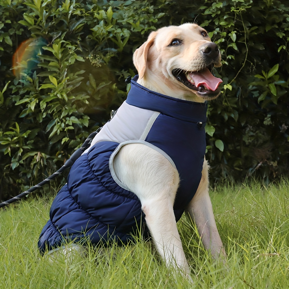 Down dog clearance coat