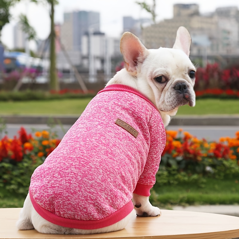 Cozy shop dog sweaters