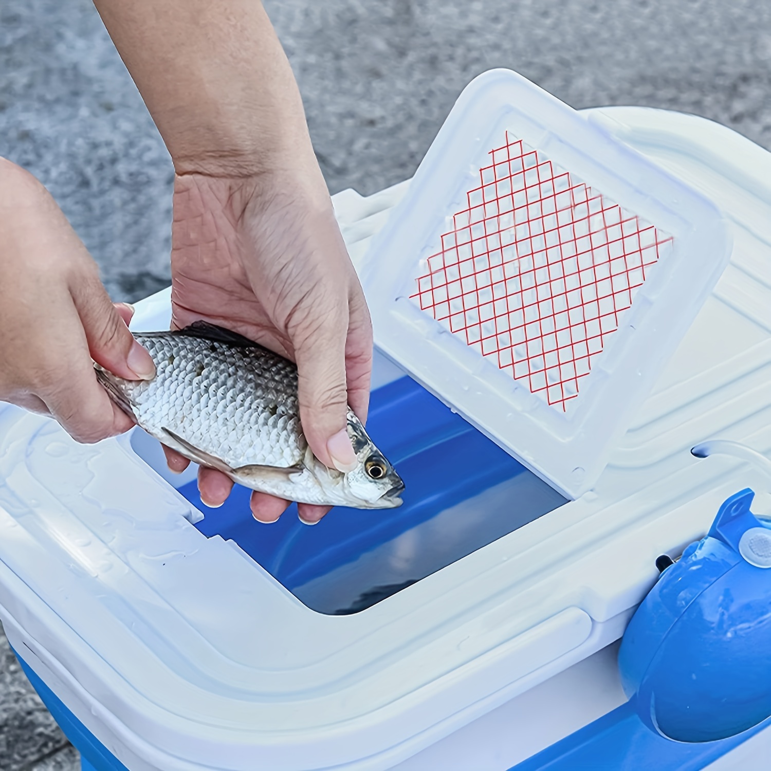 Fishing Box Portable Foldable Fish Bucket Transparent Skylight Breathable  Fish Bucket Accessories for Fishermen - AliExpress