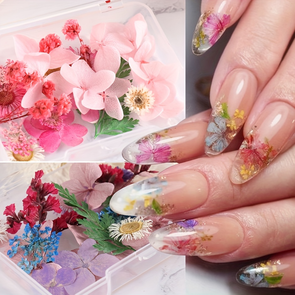 3D Nail Decor Nail Dried Flowers Mix Color Dried Flowers Manicure