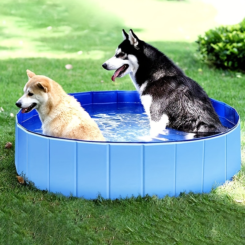 Piscina plegable para perros, piscina portátil de plástico duro para  mascotas, piscina plegable para perros, piscina para cachorros y niños,  para