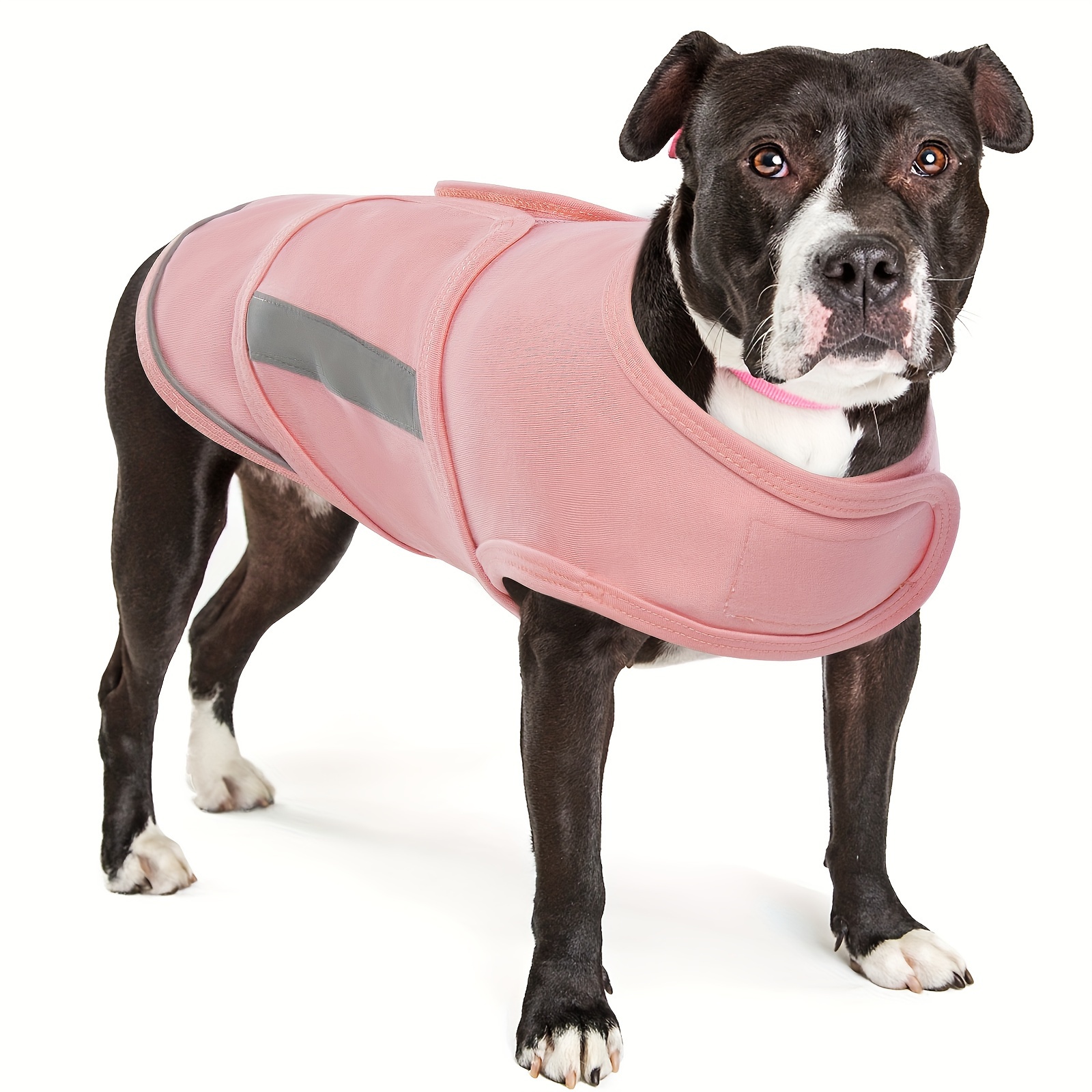 Gilet Anti-ansia Cani, Comoda Giacca Calmante Cani, Ansietà Separata Cani  Piccola Taglia, Vestiti Lenitivi Calmanti E Traspiranti Cani Taglia  Piccola, Media E Grande - Forniture Animali Domestici - Temu Italy