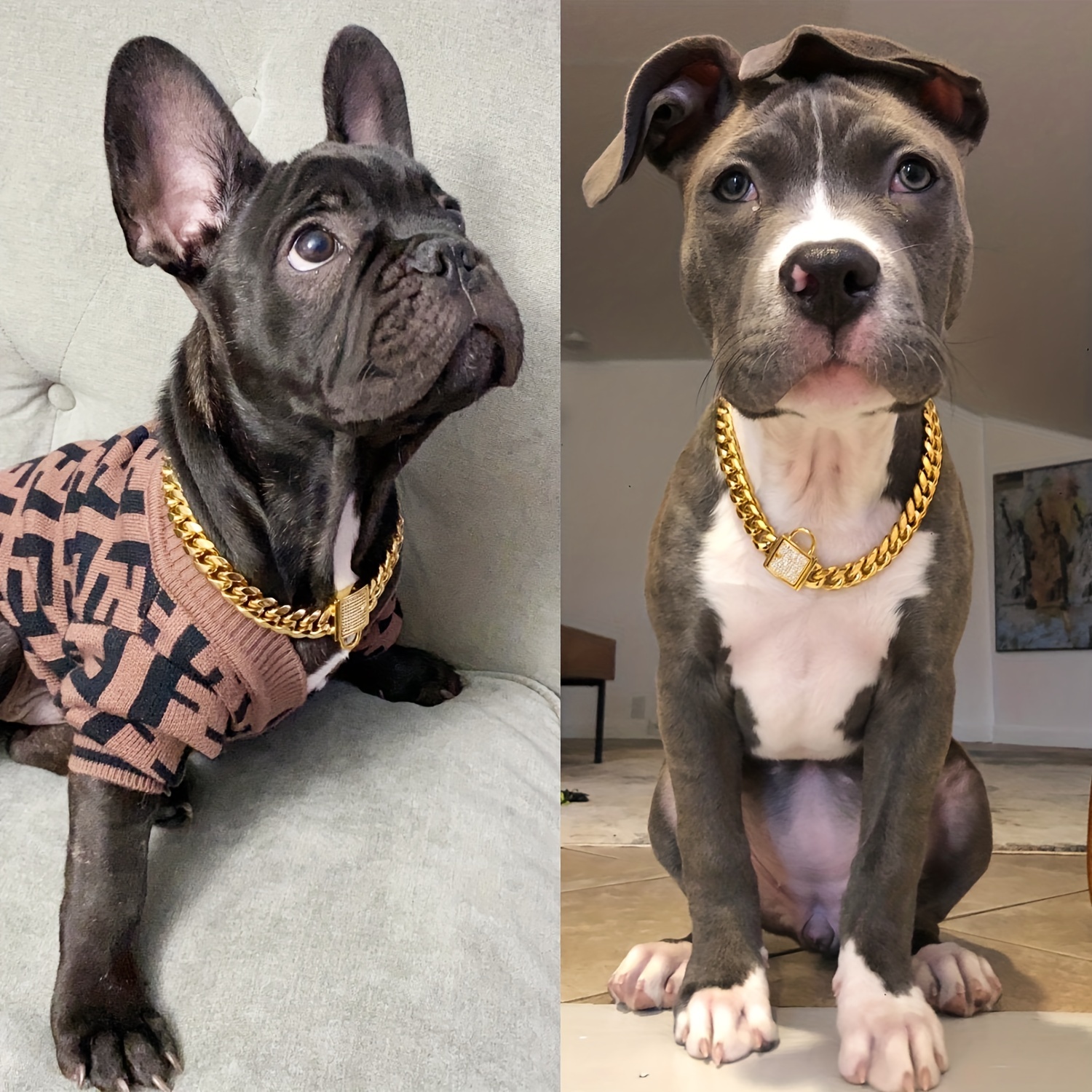 Dog Collar Heavy Duty Luxury Gold Chain Cuban Choker Training Pitbull  Bulldog