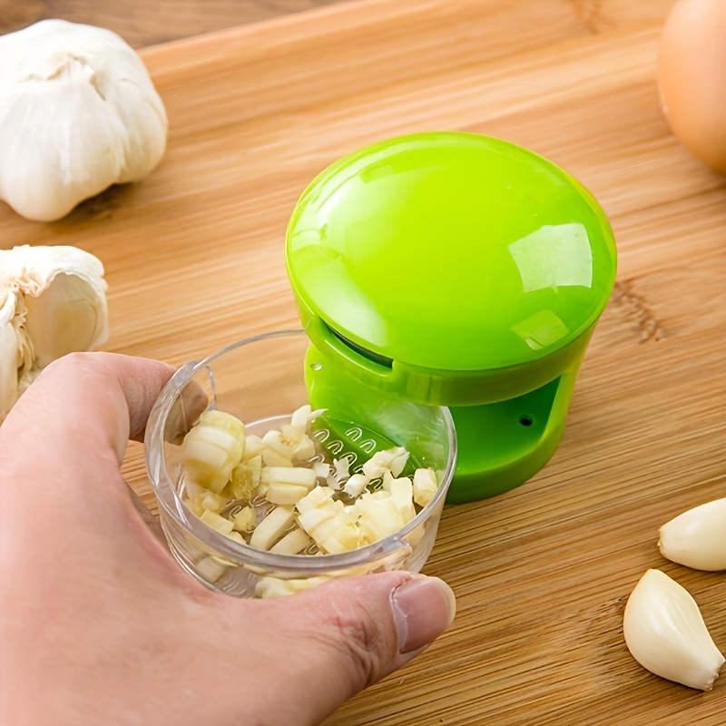 Household Garlic Crusher