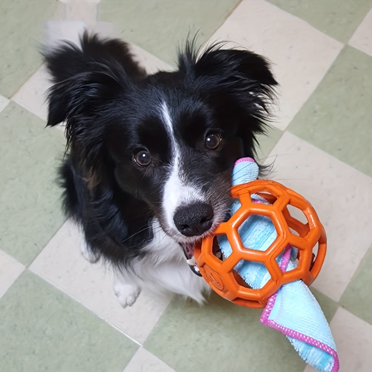 6pzas Bolas Con Púas Chirriantes De Diferentes Colores Para Perros Pequeños  Y Medianos, Juguetes Duraderos Para Masticar Para Cachorros De La Dentició