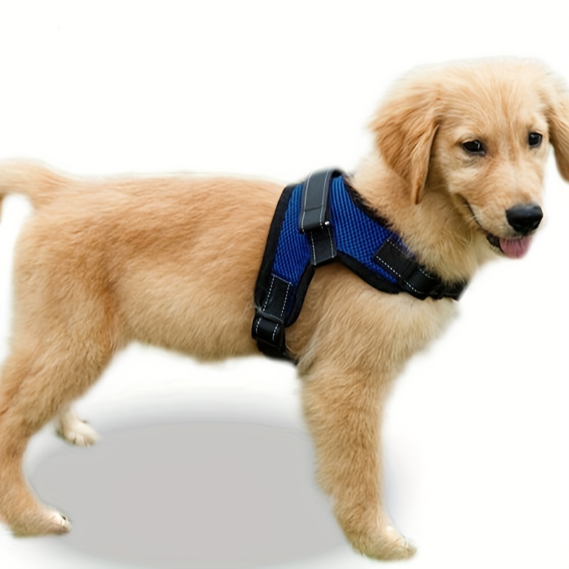 Best dog best sale harness puppy