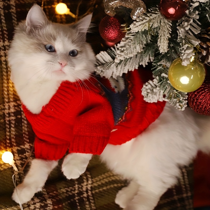 Kitten christmas hot sale sweater