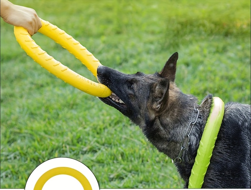 Pelota Interactiva Grande Con Agarre Para Perros