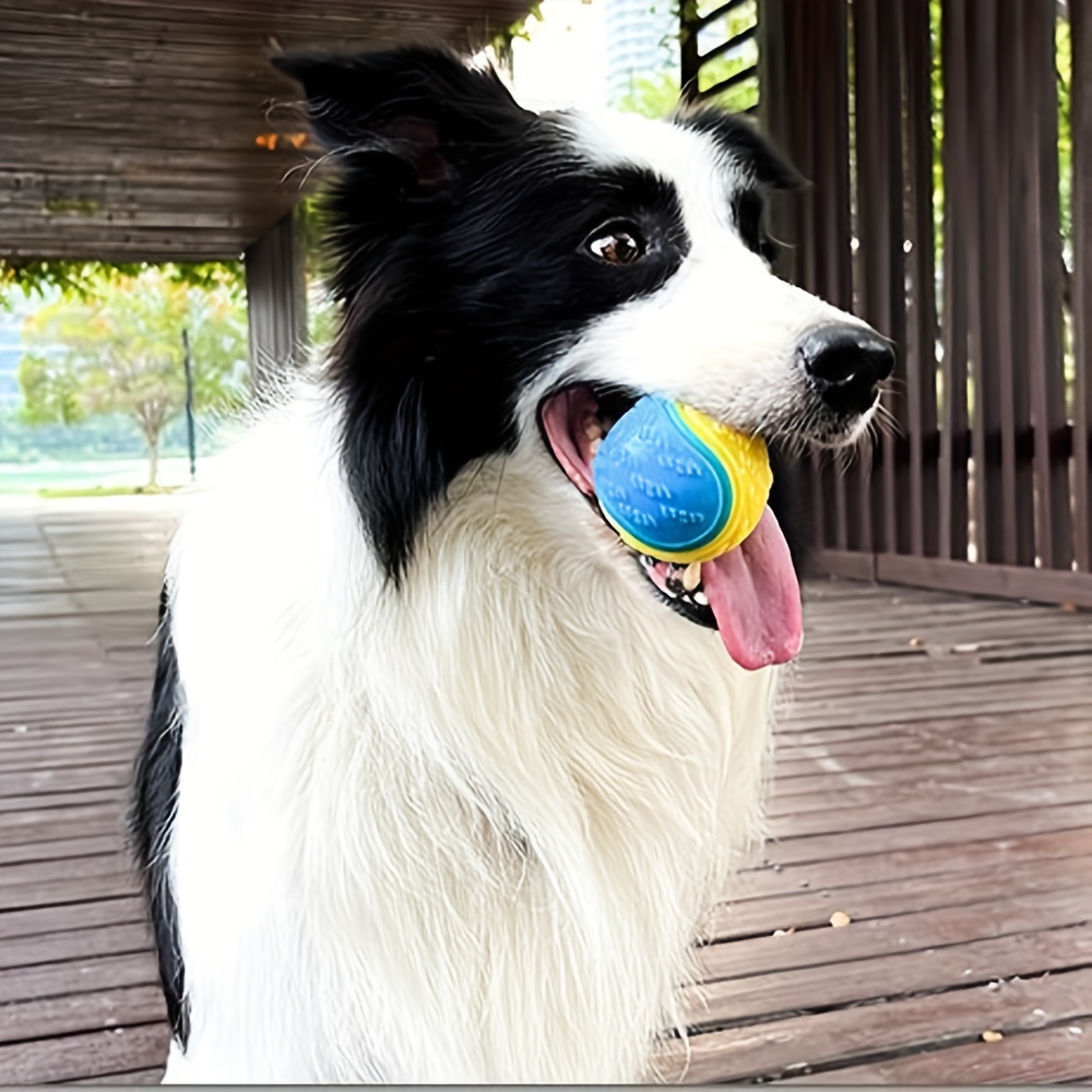 interactive dog toy 1pc pet ball squeaker chew toy for puppy teeth cleaning fun 2