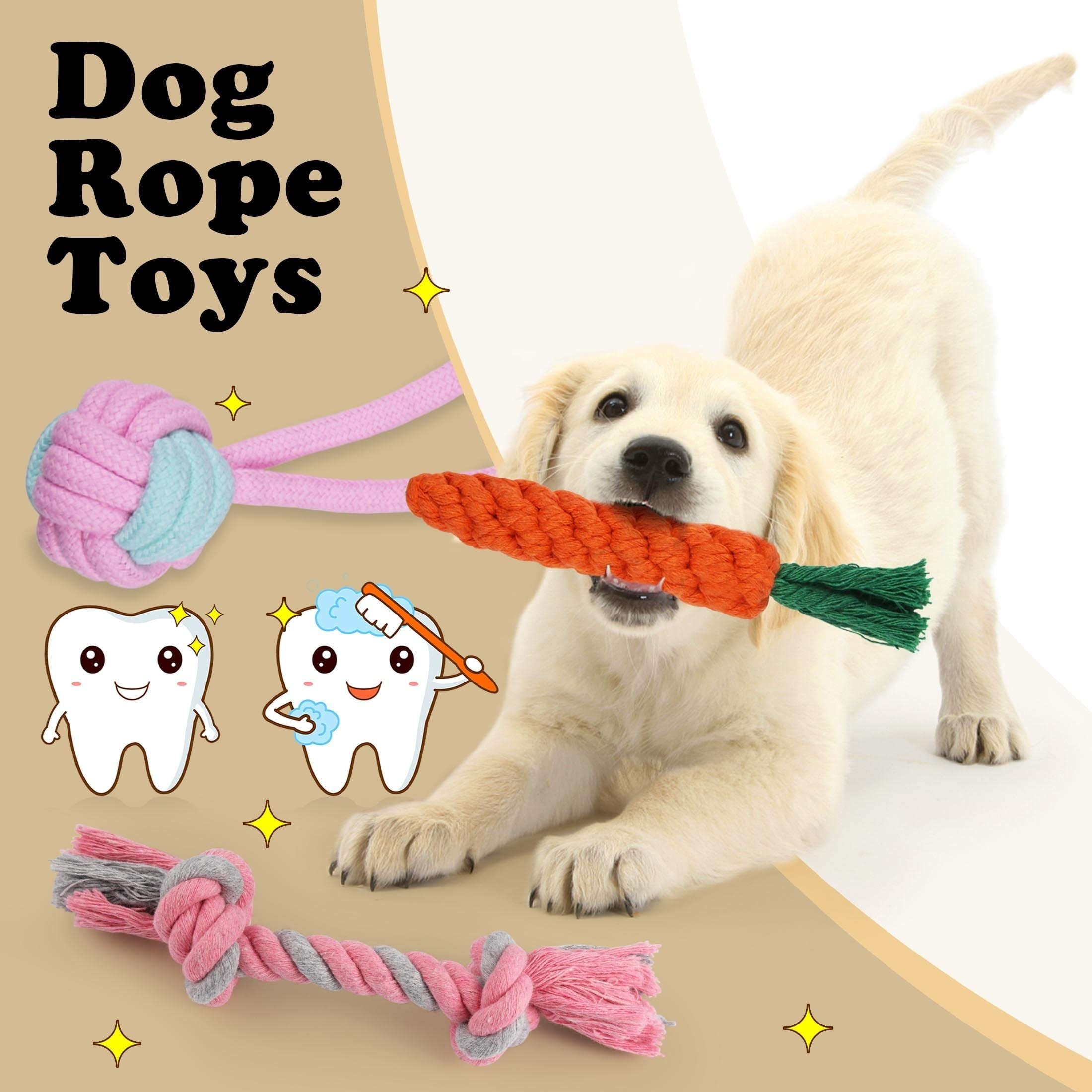 Whoobee Dog Rope Toys Set, Puppy Interactive Teething Toys Cotton Rope Chew  Toys for Small Medium Dogs (11PCS)