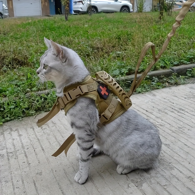 Arnés táctico para gato y correa para caminar a prueba de escape, arnés de  chaleco ajustable para mascotas, malla suave con asa de control para gatos