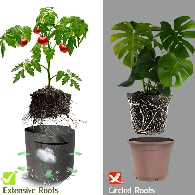 Grow Your Own Fruits And Veggies With Nonwoven Aeration - Temu