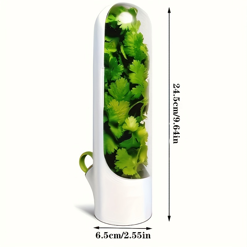 1pc 3pcs vegetable preservation cup herb storage container herb preservation cup herb preservation box preservation container details 0