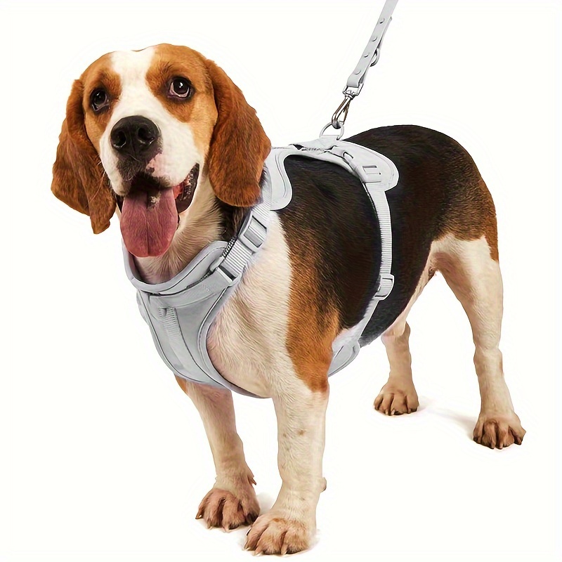 Beagle clearance proof harness