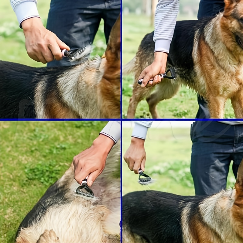 remove undercoat dog