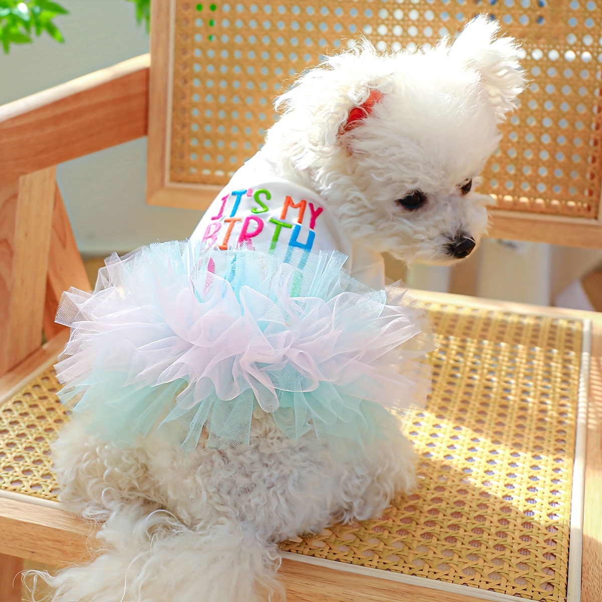 

1pc Pastel Tulle Birthday Princess Dress For Dogs - " My Birthday" Puff Sleeve Skirt With Blue & Pink , 100% Polyester, Easy Pullover Style For Small To Large Breeds, Birthday Dress