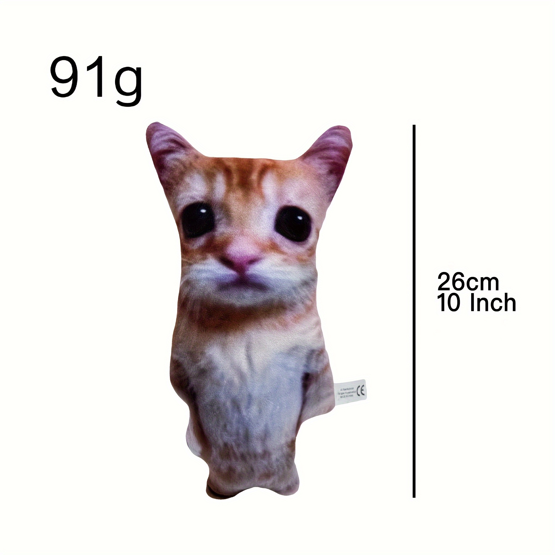 Wait What Funny Cats Rectangle Magnet