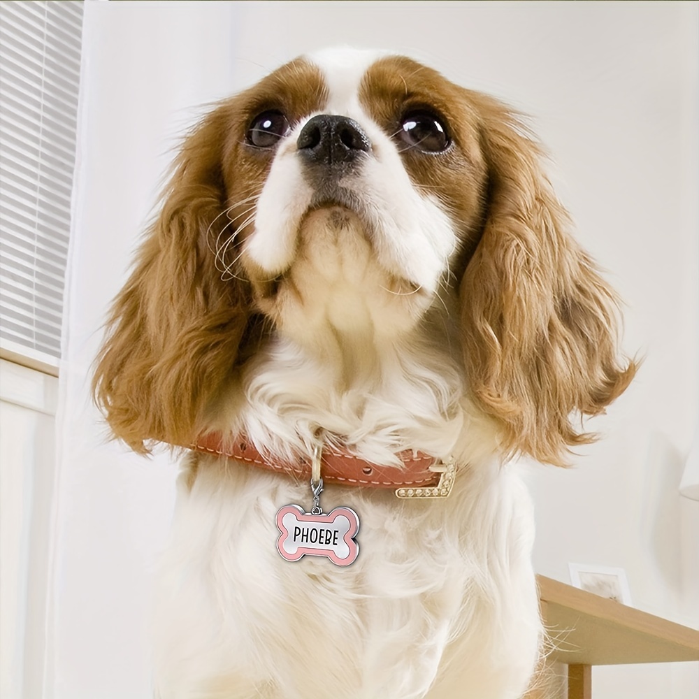 Engraved Bone Shape Pet Tags - Custom Collar Pendant