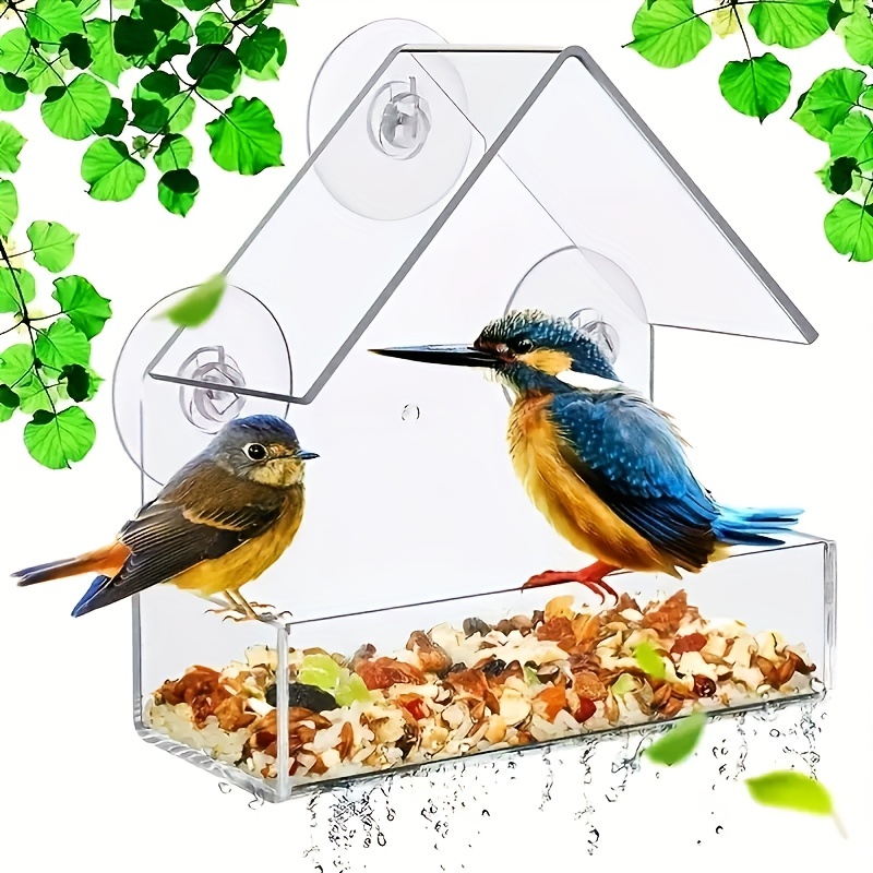 Mangeoire à oiseaux transparente en acrylique avec ventouse