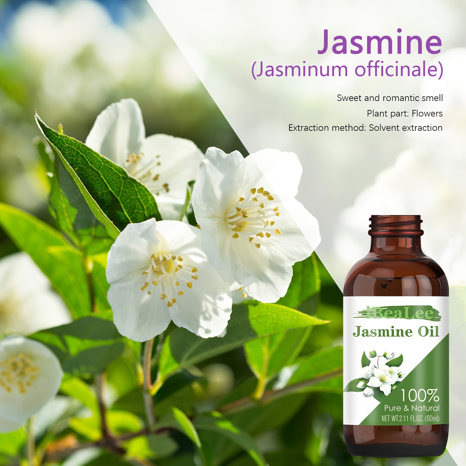 100+] Jasmine Flower Pictures