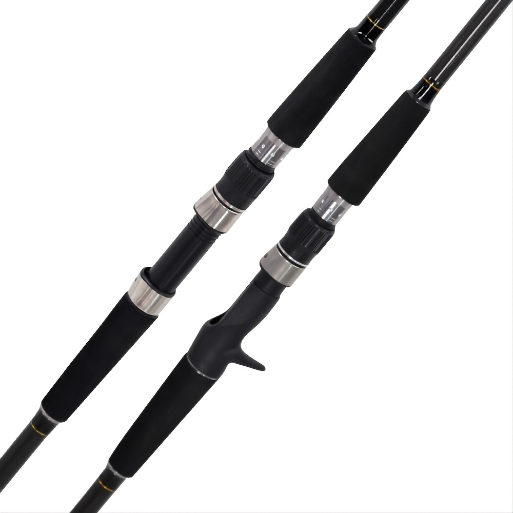 2 Sections Spinning/casting Fishing Rod Portable - Temu