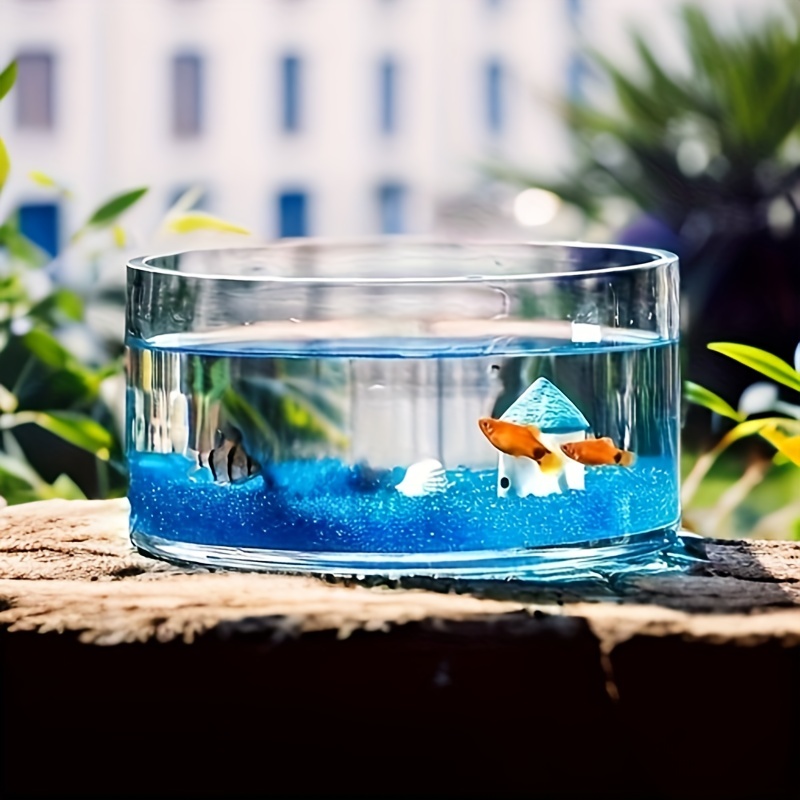 Accessoires d'aquarium, décor de jardin d'aquarium, poupées de voiture  minimalistes Micro Buda Garden Home Shui Décoratif résistant à l'usure Bébé  Miniature Pot de jeu Fleur Décor de bureau Artisanat : : Animalerie
